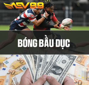 Cá cược Bóng Bầu Dục AEV99